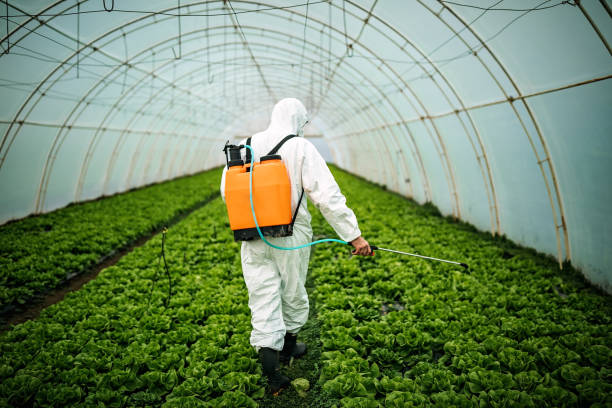 Best Local Pest Control Services  in North Hartsville, SC
