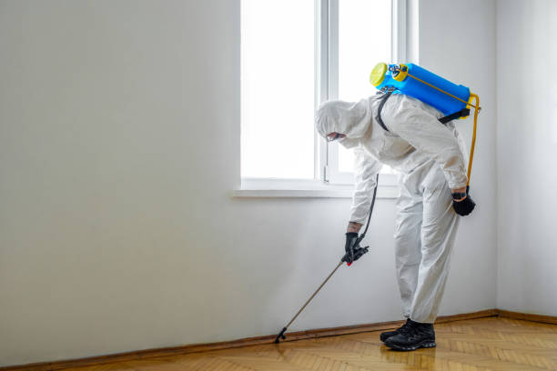 Trusted North Hartsville, SC Pest Control Experts