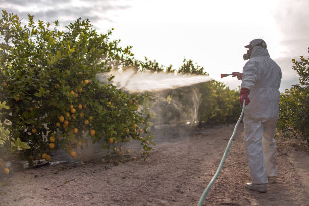 Best Best Pest Control Near Me  in North Hartsville, SC