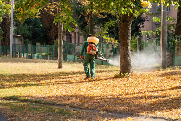 Best Commercial Pest Control Services  in North Hartsville, SC